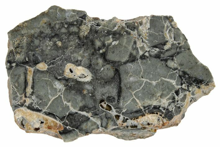 Polished Lunar Meteorite ( g) Slice - Adrar #355990